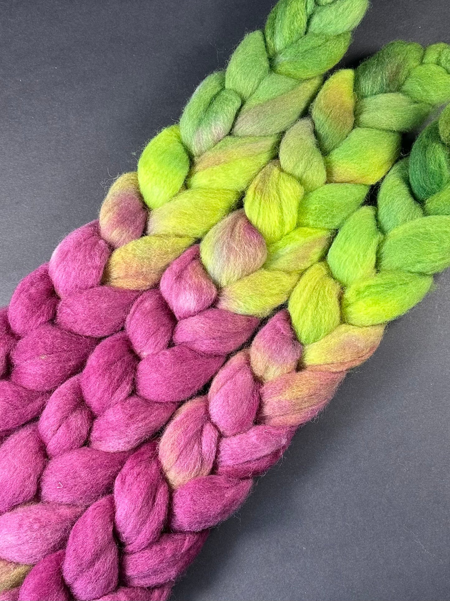 “Asclepias" BFL Combed Top