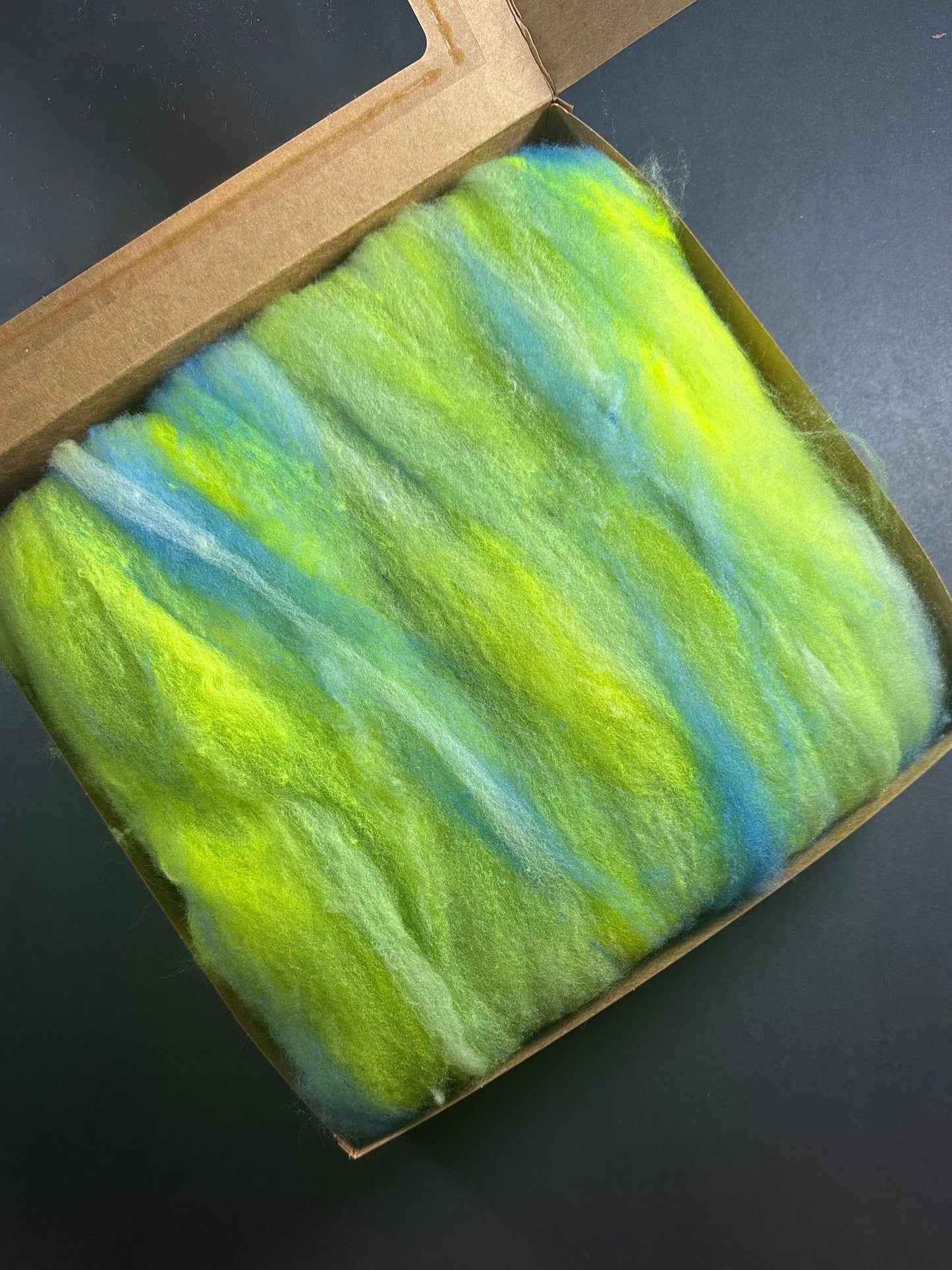 Dumpster Diver Batt #9