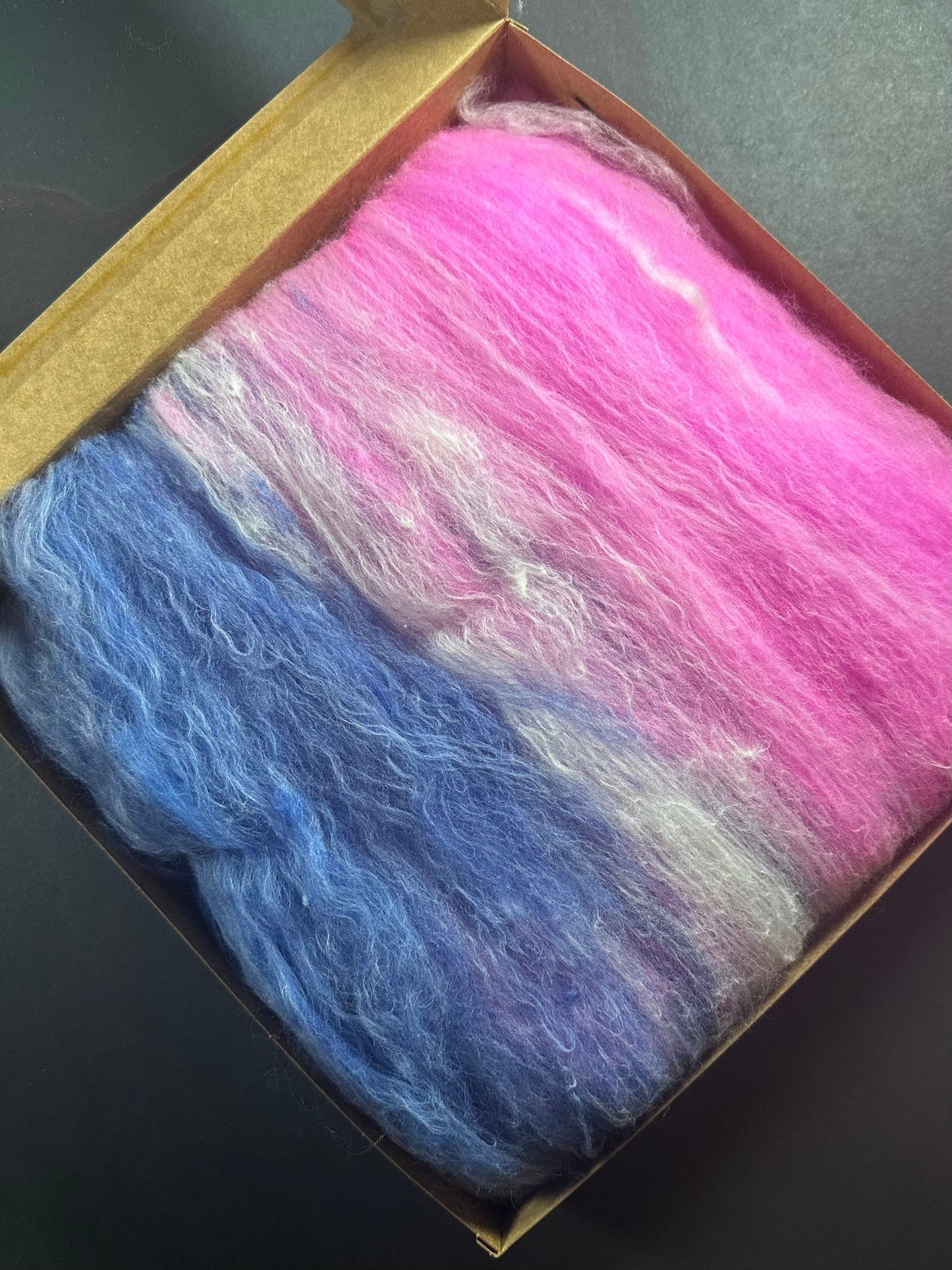 Dumpster Diver Batt #5