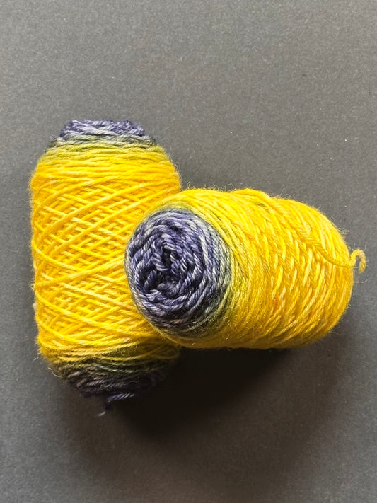 “Emphatic YES" Superwash BFL Sport Weight Sock Twins