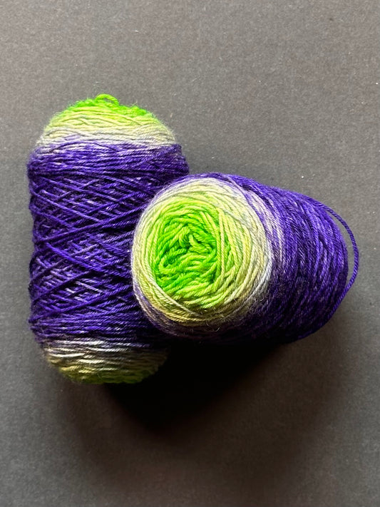 “Get in the Robot" Superwash BFL 4ply Sock Twins