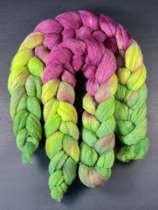 “Asclepias" BFL Combed Top