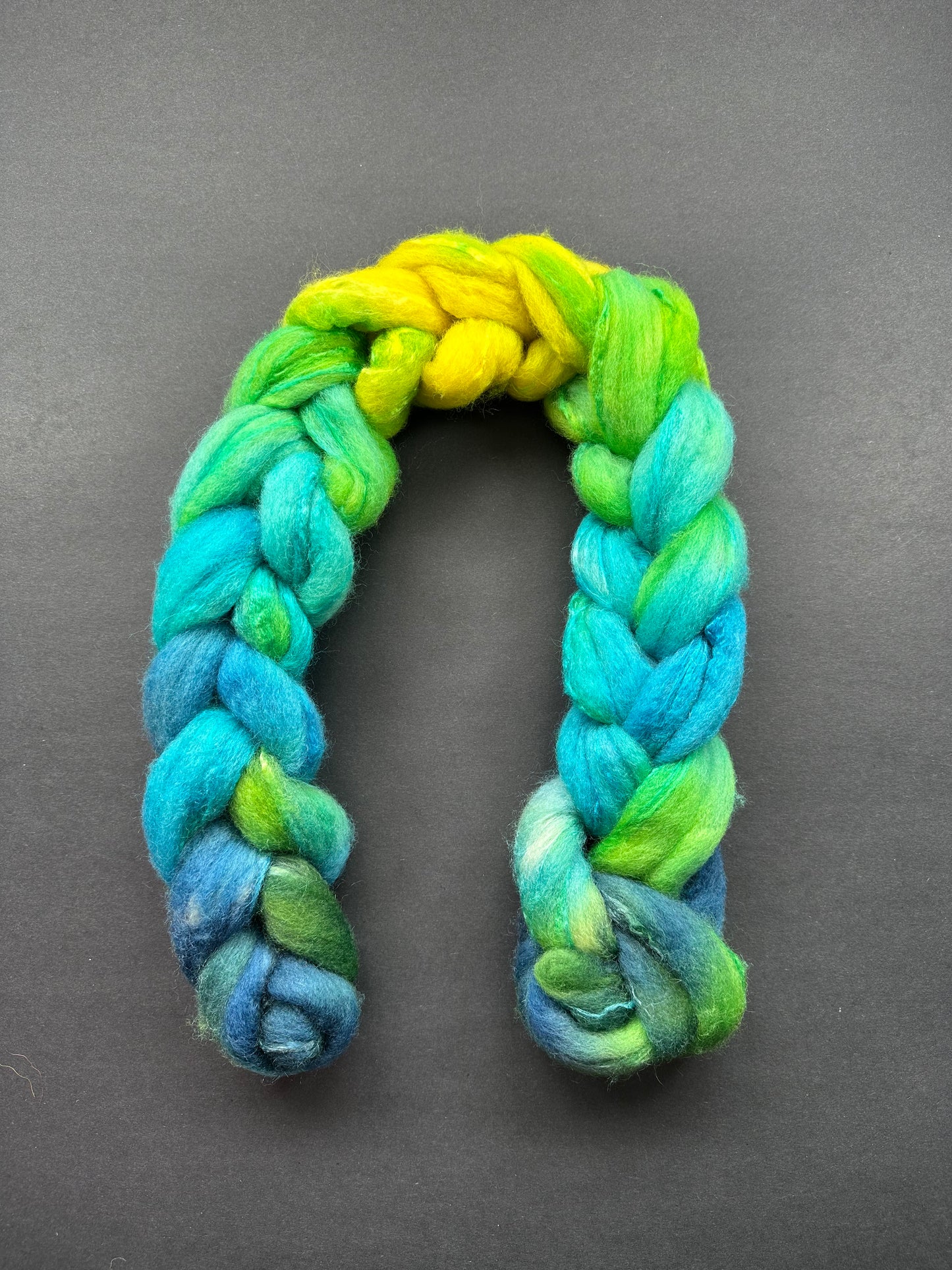 “Emphatic YES!" BFL/Tussah silk 70/30 combed top