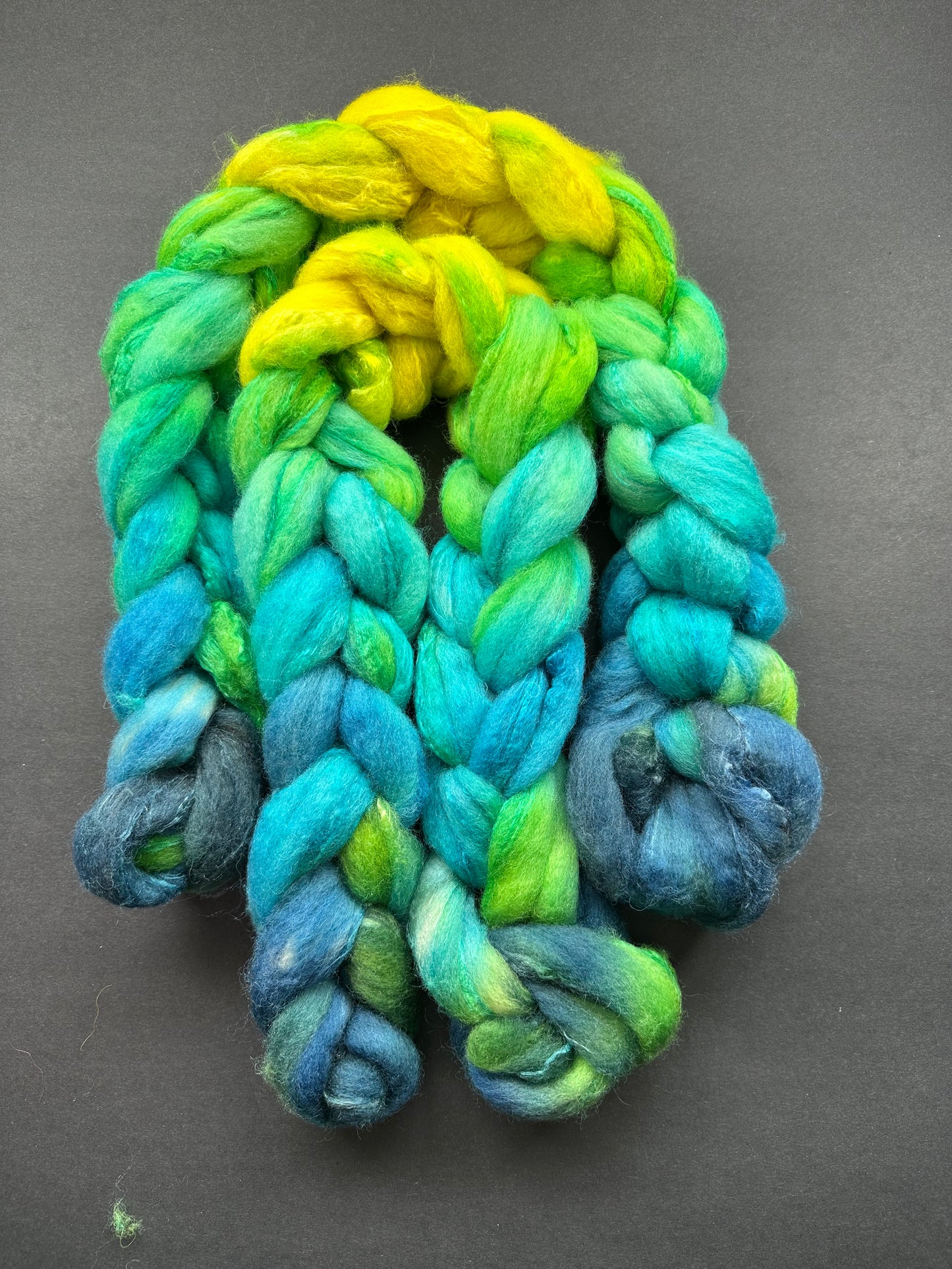 “Emphatic YES!" BFL/Tussah silk 70/30 combed top