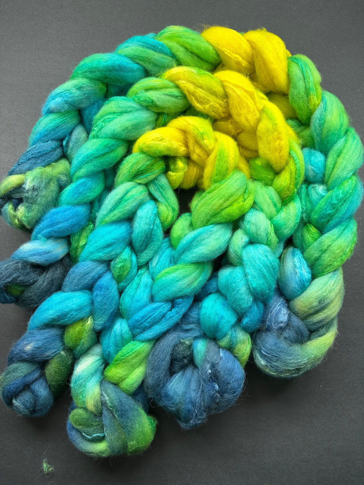 “Emphatic YES!" BFL/Tussah silk 70/30 combed top