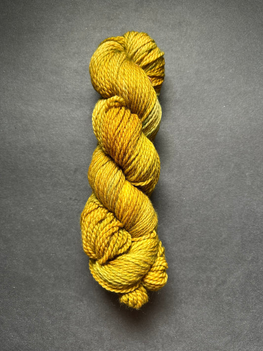 “Chlorinated Laborador Retriever”Superwash BFL Aran